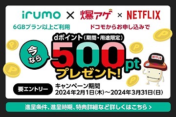 irumo キャンペーン NETFLIX