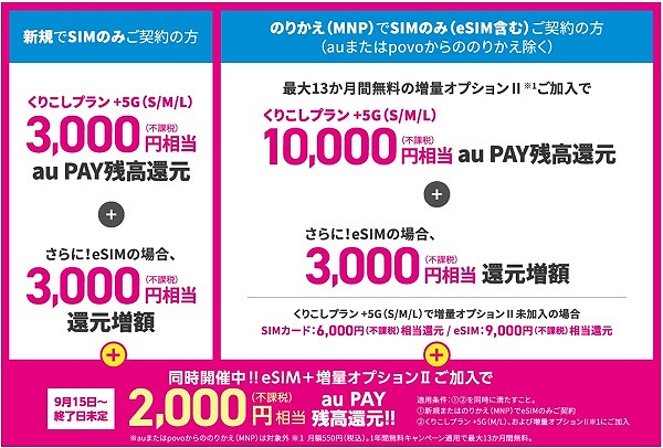 UQモバイル SIMのみ キャンペーン au Pay