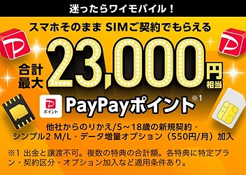 ヤフー店 SIM eSIM キャンペーン 23000